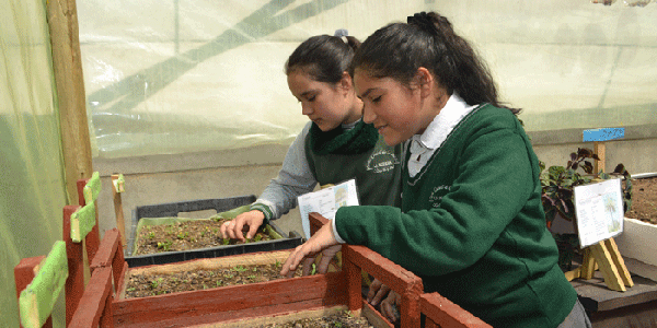 Nuestro Huerto vivero es reinagurado
